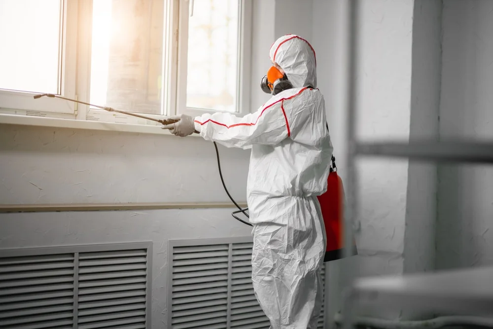 Professional mold remediation services in Milanville, PA